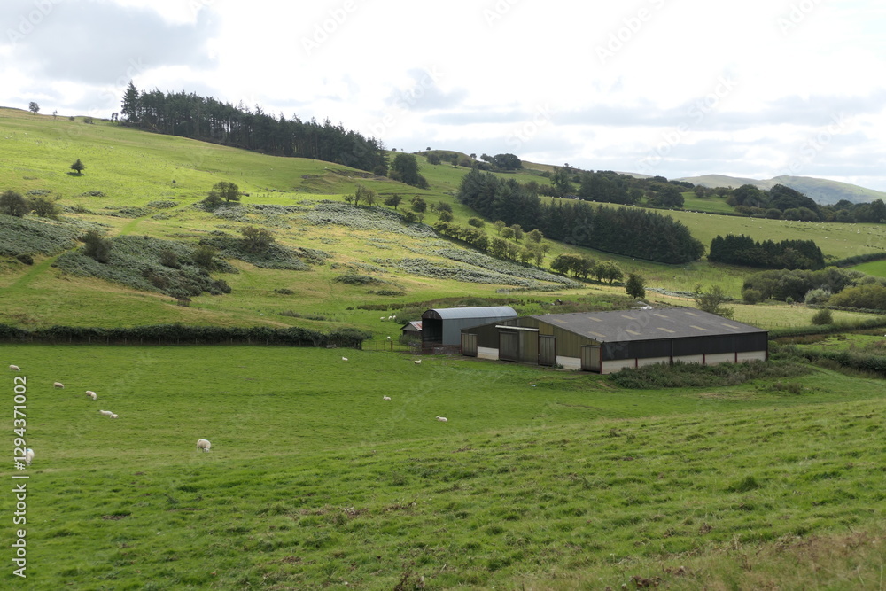 Obraz premium A classic Welsh agricultural landscape with rolling green hills, a small farm, and a wide rural view stretching into the distance.