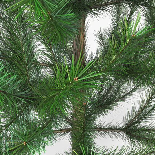 Foto Illustration 3D Render Conifer Tree 150cm Xmas Decor