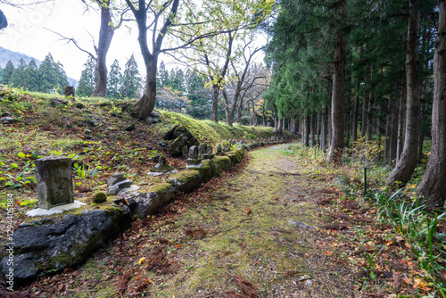 Historic old road “Salt Road” which is also a long distance hiking course and its surroundings photo