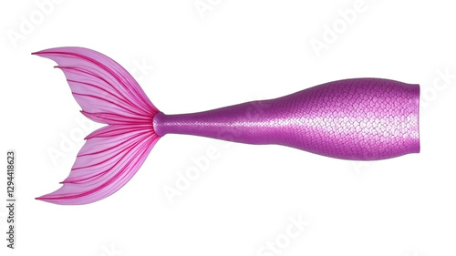 mermaid tail (png)