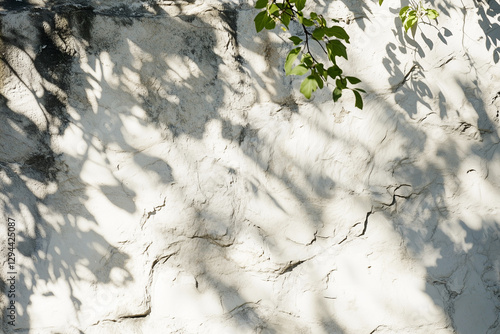Obraz na płótnie Light White Marble Background | Elegant Product Photography Backdrop w salonie