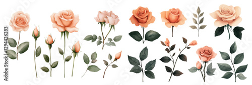 An exquisite watercolor vector featuring a collection of peach roses with varying sizes, complemented by soft pink and green leaves