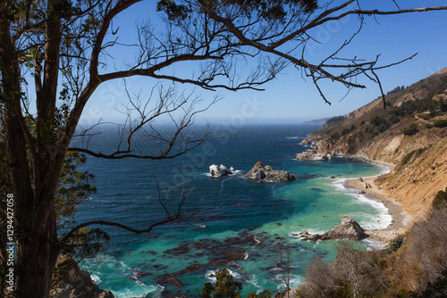 Trees over the shoreline of Big Sur on the California coast.