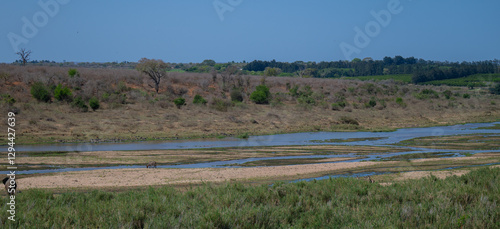 Landschaftsbild - Flora Botanik Busch im Krüger National Park - Kruger Nationalpark photo