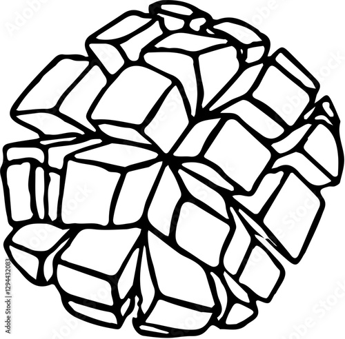 Fruit. Hand drawn vector isolated sketch. Mango