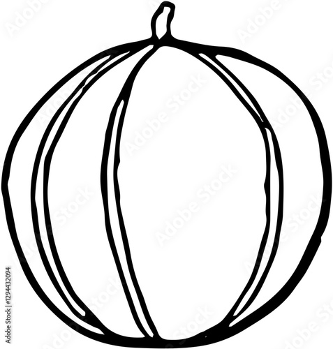 Fruit. Hand drawn vector isolated sketch. Muskmelon