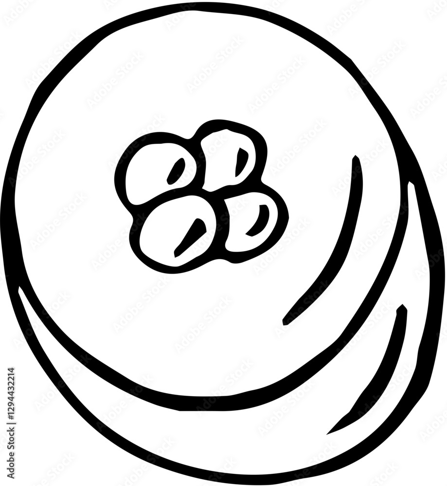 Fruit. Hand drawn vector isolated sketch. Loquat Fruit. Hand drawn vector isolated sketch. Loquat
