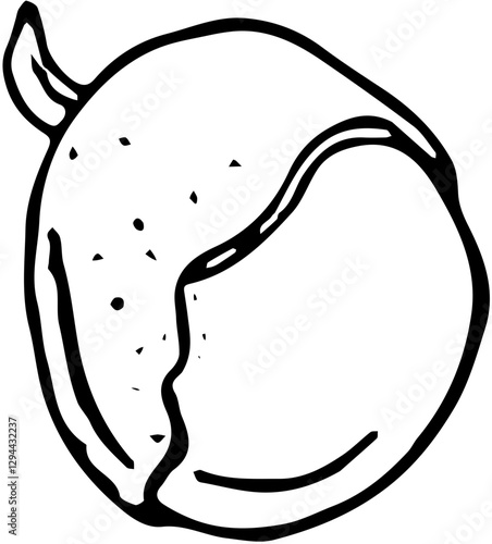 Fruit. Hand drawn vector isolated sketch. Mamoncillo 