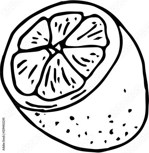 Fruit. Hand drawn vector isolated sketch. Kumquat