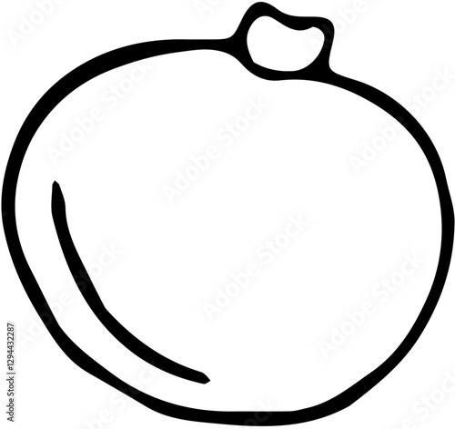 Fruit. Hand drawn vector isolated sketch. Longan