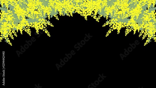 ミモザ　フレームトップ