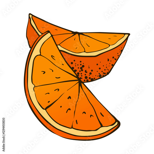 Colorful orange slices, hand drawn vector illustration