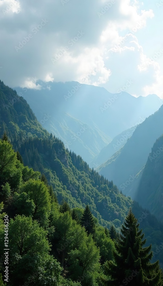 Fototapeta premium Gray clouds hide tree canopies on mountain slopes, canopy, nature