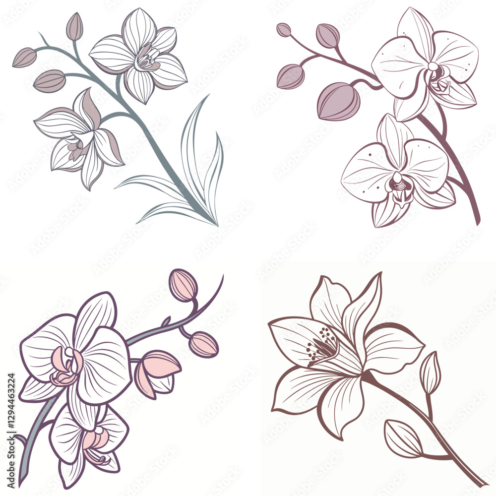 Fototapeta premium A delicate orchid flower icon with unique petal patterns. 