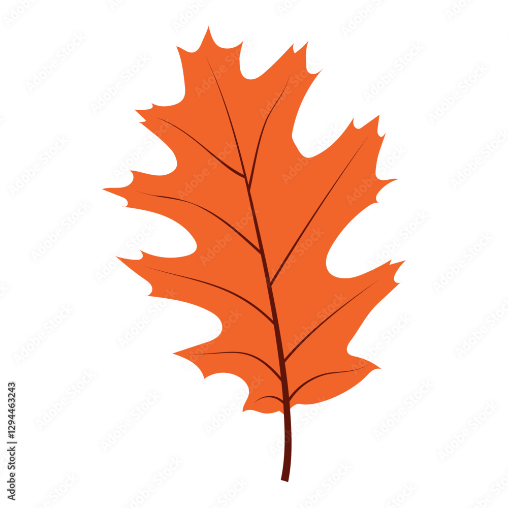 Obraz premium Oak Leaf on white background. Vector isolated illustration 