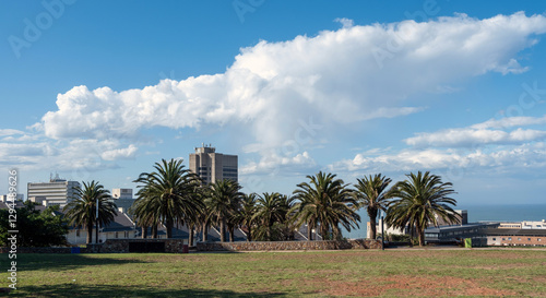 Gqeberha Port Elizabeth, South Africa. Donkin reserve. Modern and old buildings, palm trees and ocean view