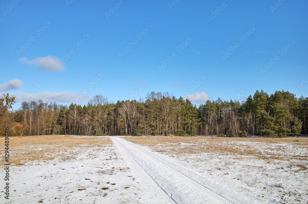 Obraz premium Winter landscape with forest and glade, West Pomeranian Voivodeship, Poland.