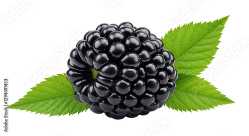 Isolated Fresh Blackberry with Green Leaves, Close-up