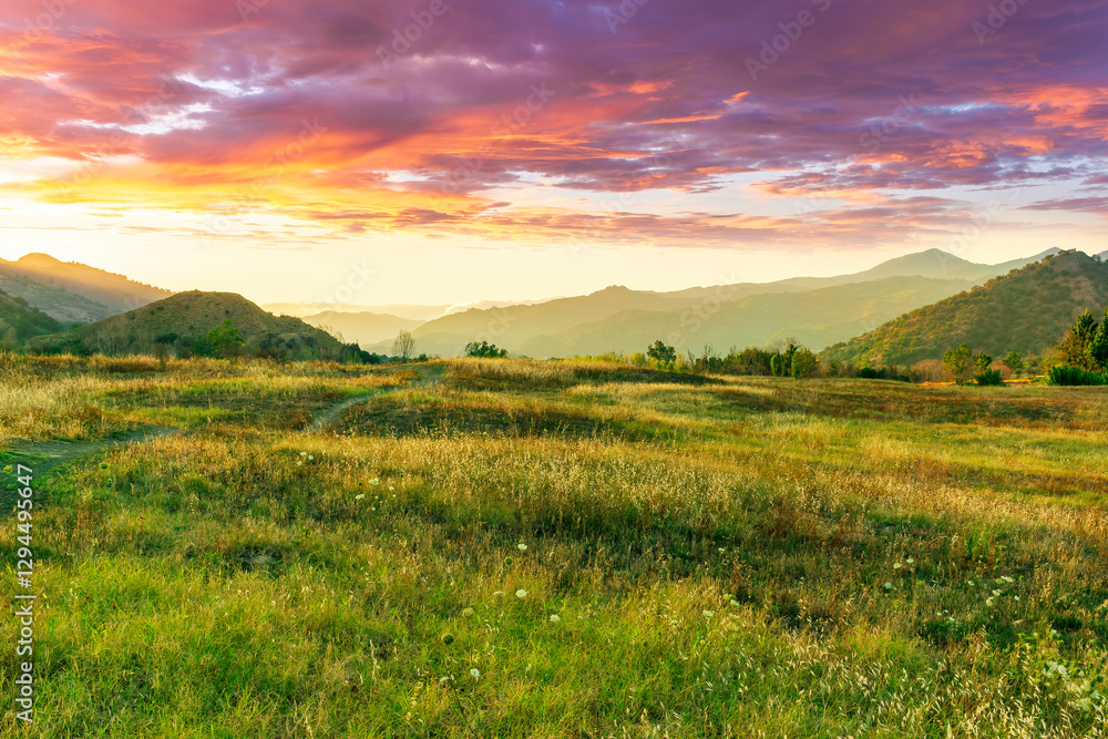 Obraz premium beautiful green valley with green fields with green spring grass with nive hills and mountains and scenic colorful cloudy sunset on background of landscape