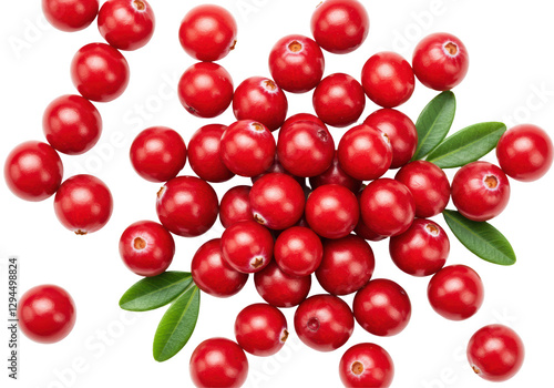 Isolated Heap of Fresh Cranberries
