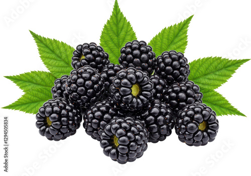 Isolated Fresh Blackberries with Leaves