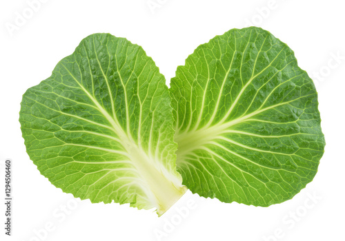 Isolated Close-Up of Two Cabbage Leaves