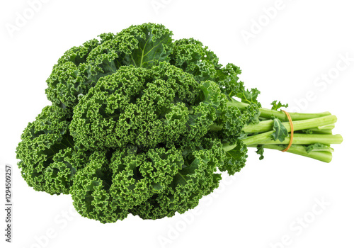 Isolated Fresh Curly Kale Bunch Bound Together