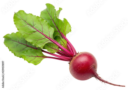 Isolated Vibrant Beetroot with Fresh Leaves, Healthy Root Vegetable Ready for Cooking