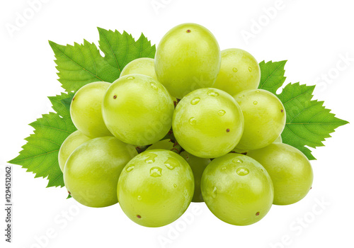 Isolated Small Bunch of Dew-Kissed Green Grapes