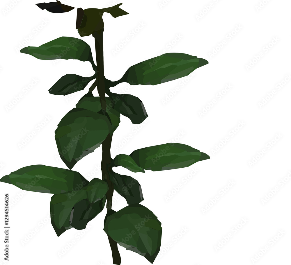Fototapeta premium rose leaves and branch vector27