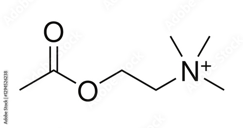 Foto Acetylcholine Molecule Chemical Structure Illustration for Neuroscience and Medi