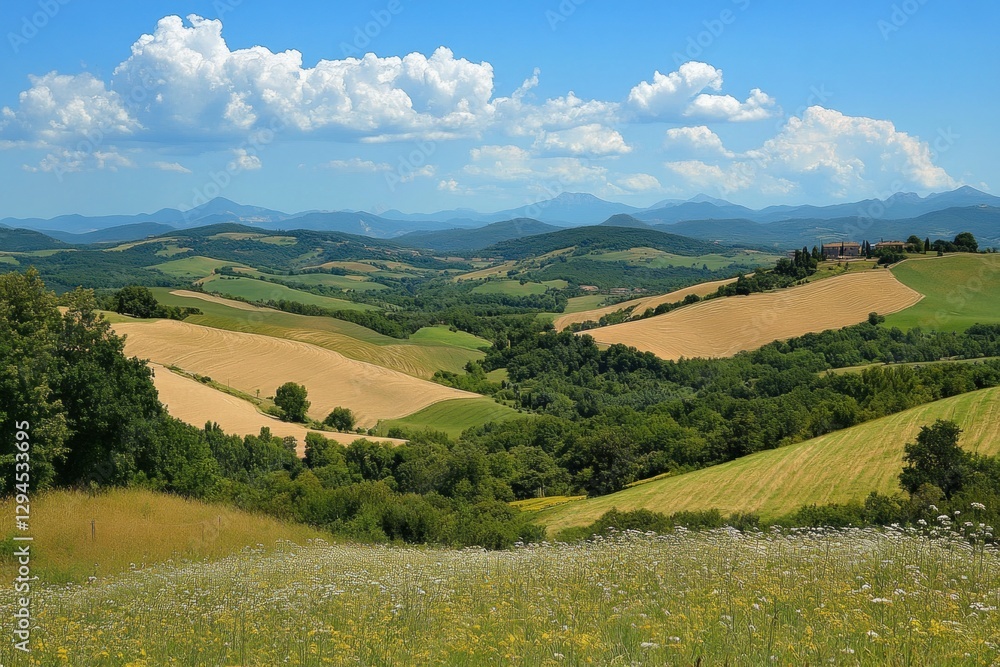Fototapeta premium Scenic landscape showing rolling hills and fields in Tuscany, Italy under blue sky
