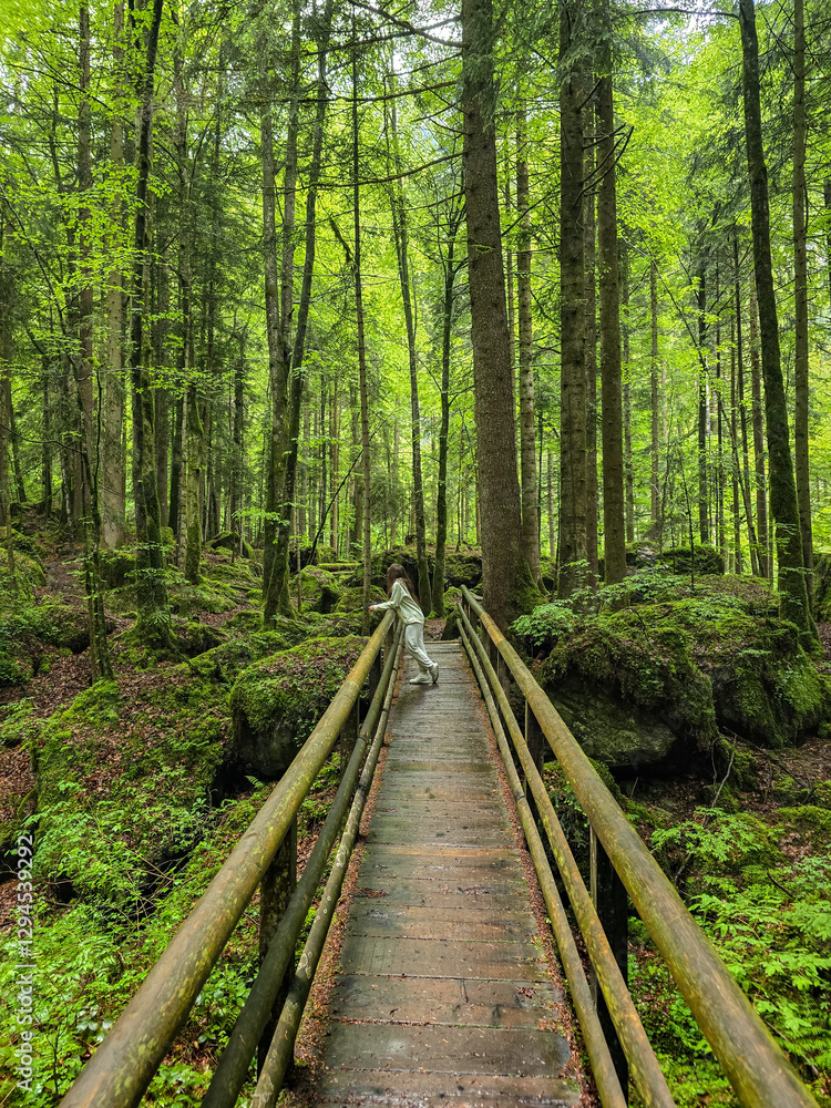 Obraz premium Girl in the forest