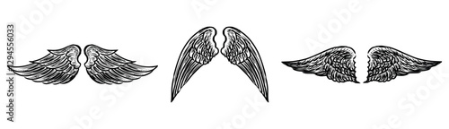 Hand drawings of three pairs various mythological angel wings, vector sketches isolated on white