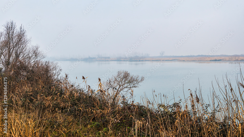 Fototapeta premium the river Po inside its Veneto side Delta during a winter season, Rovigo, Italy