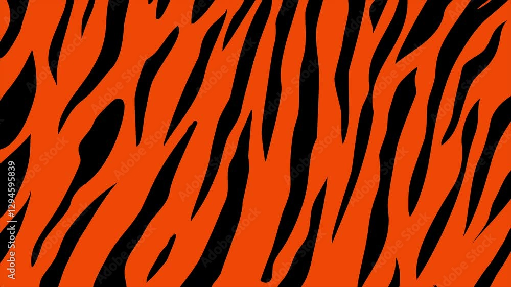 Tiger stripes background on a seamless loop Tiger stripes background on a seamless loop