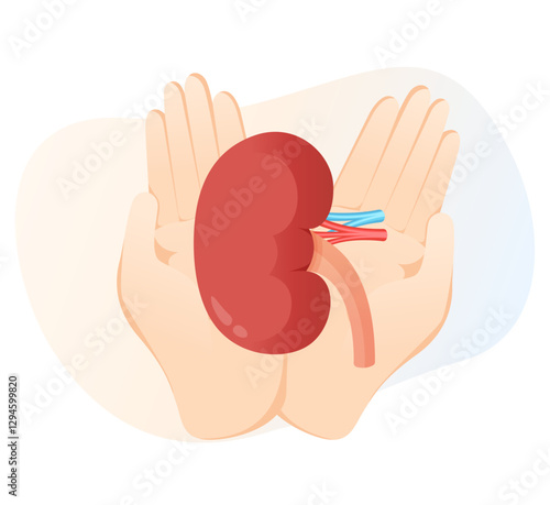 Donate Kidney - Save Life - Stock Illustration