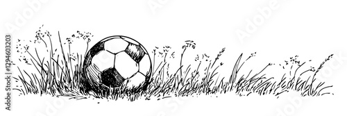 soccer ball lying in grass field vector doodle black sketch illustration