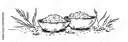 rice in bowls hand-drawn vector illustration in ink style