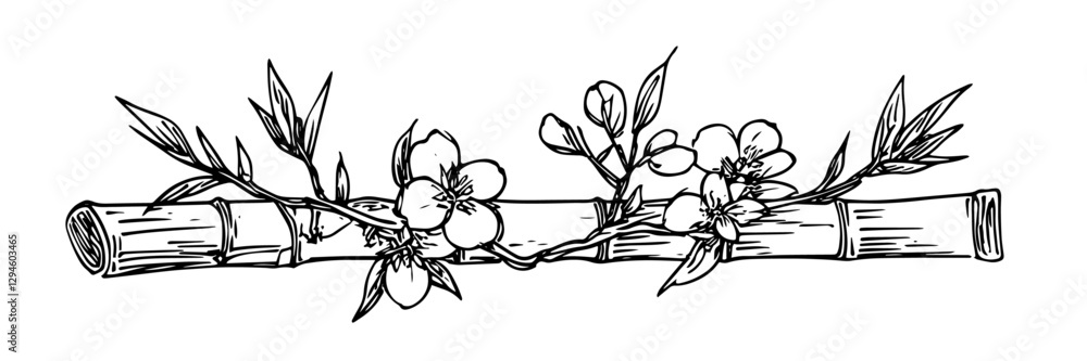 custom made wallpaper toronto digitalbamboo branch with blooming flowers vector doodle black sketch illustration