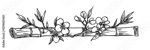 bamboo branch with blooming flowers vector doodle black sketch illustration