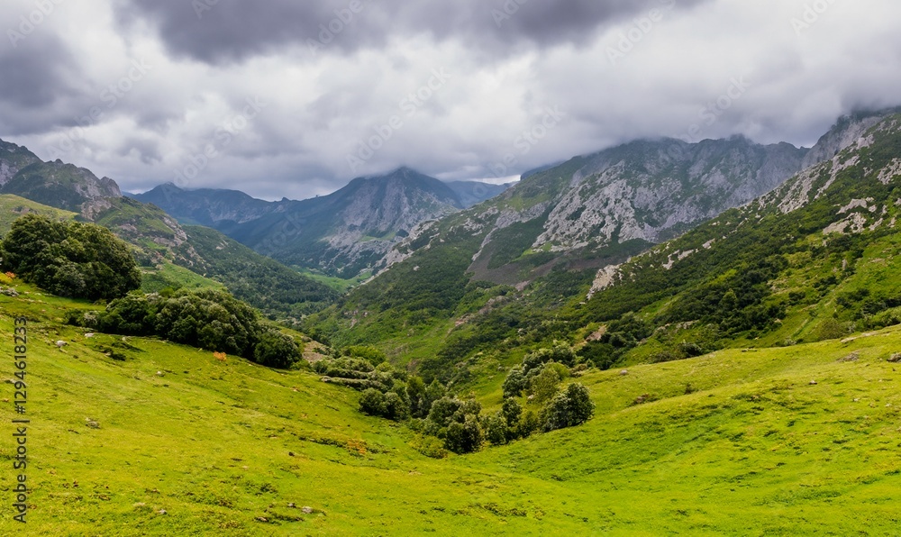Naklejka premium Majestic view of beautiful lush green valley with trees and colorful grass against high mountains. Beautiful spring landscape. Green grassland and forest with mountain natural landscape.