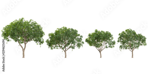 Foto 3d illustration of Malus,Prunus trees on transparent background