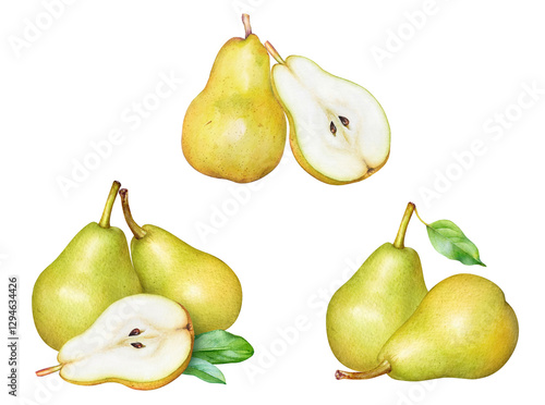 Realistic watercolor illustrations of yellow pears with leaves