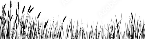 Outline prairie landscape with tall grass simple natural vector design.