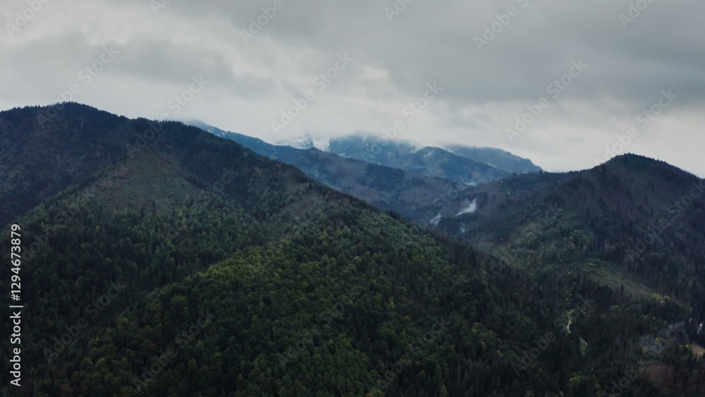 Vertical panning from a drone, a view of the mountain valley with a lake in a lowland at the foot of gently sloping mountains overgrown with a dense spruce forest. Rocky peaks are covered with clouds Vertical panning from a drone, a view of the mountain valley with a lake in a lowland at the foot of gently sloping mountains overgrown with a dense spruce forest. Rocky peaks are covered with clouds