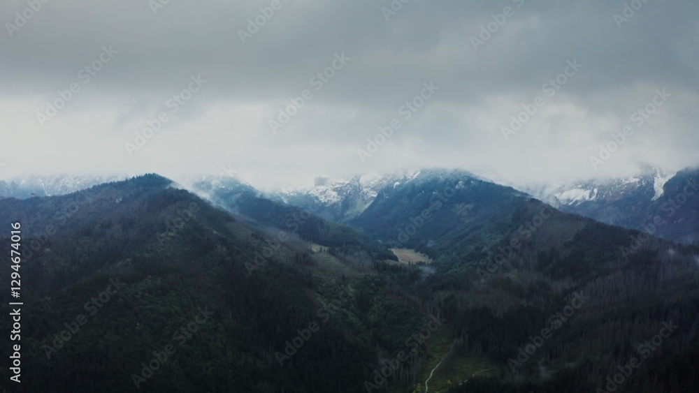 Vertical panning from a drone, a view of a mountain valley with a river in a lowland at the foot of gently sloping mountains overgrown with a dense spruce forest. Rocky peaks covered with clouds Vertical panning from a drone, a view of a mountain valley with a river in a lowland at the foot of gently sloping mountains overgrown with a dense spruce forest. Rocky peaks covered with clouds
