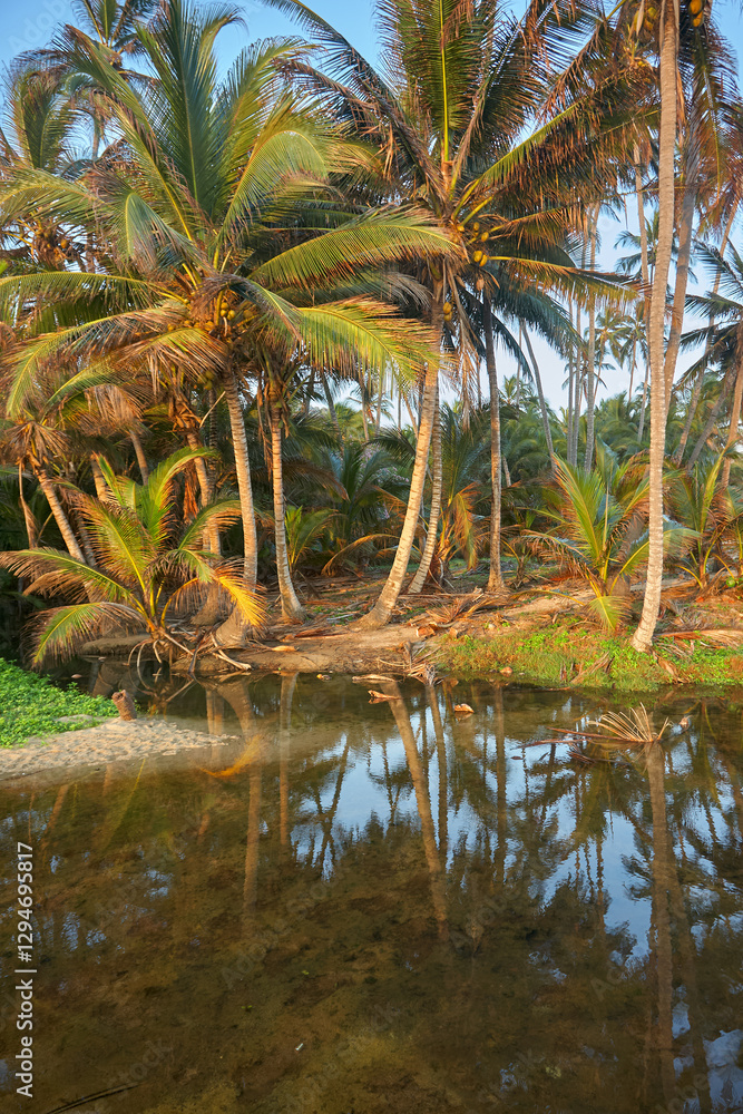 Obraz premium The pristine beaches of Tayrona National Park invite you to a world where turquoise waters meet golden sands, framed by lush tropical forests. A true Colombian gem.