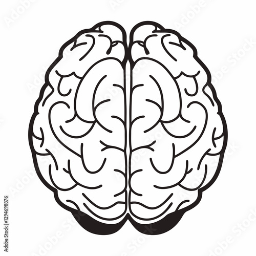 human brain vector illustration