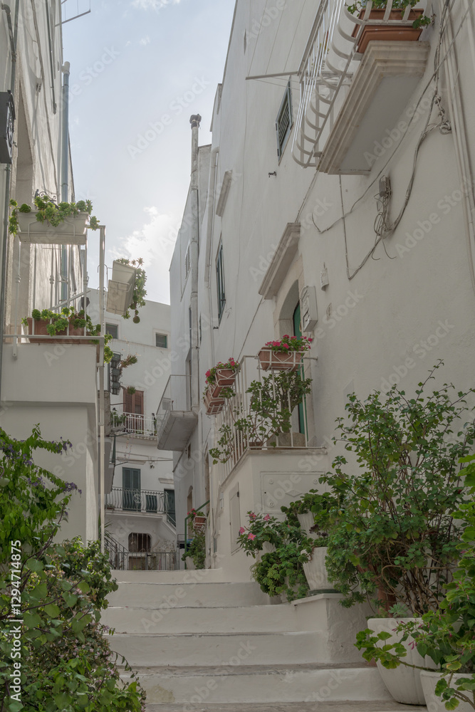 Fototapeta premium Street in Ostuni white city (Città Bianca), Puglia, Italy